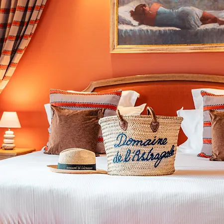 Domaine De L'astragale 5* Gassin